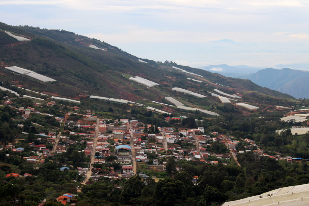Panorámica y cultivo de tomate en Betulia, Santander.