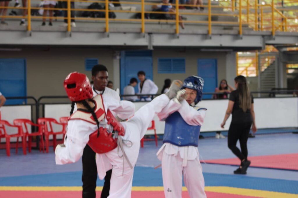 Imagen que muestra una acción de taekwondo
