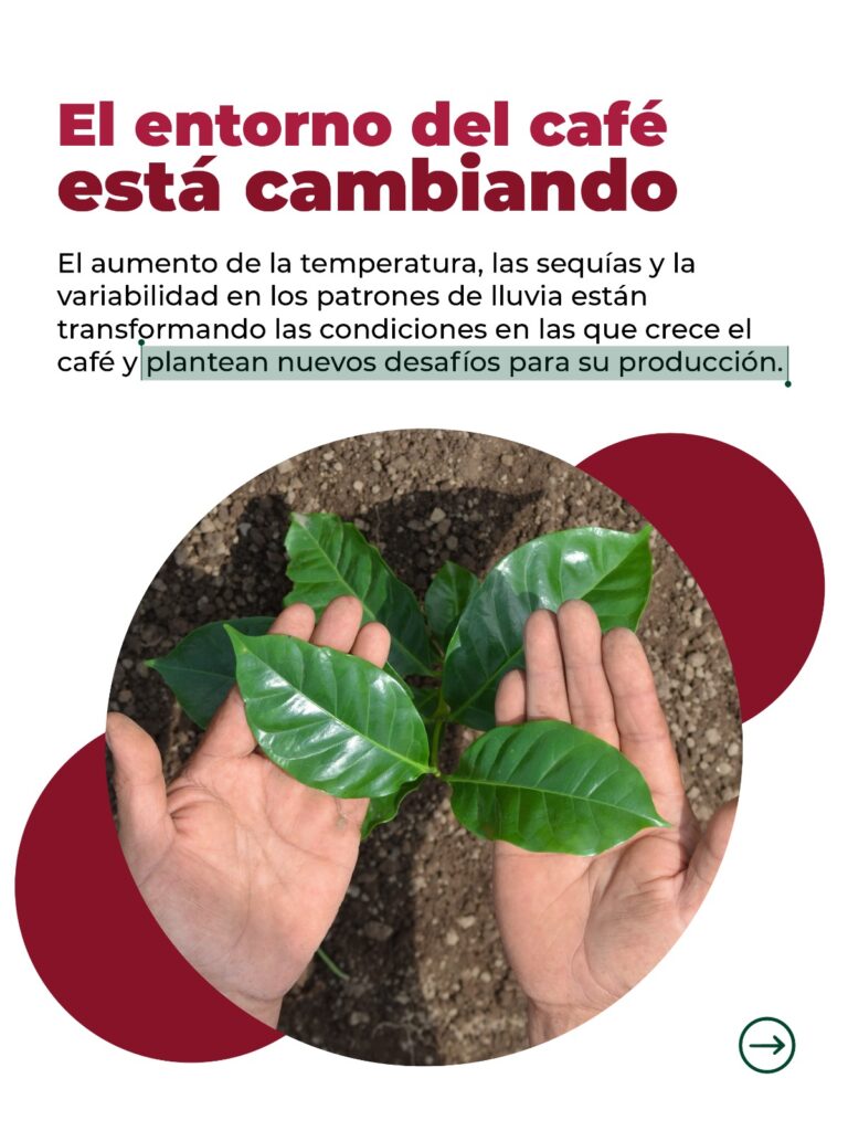 Imagen para el Banner 1 simposio de ecofisiología