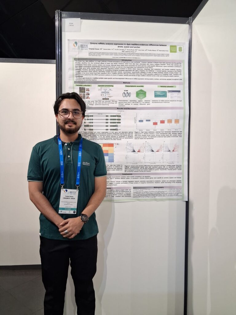 Yordy Stiven Cangrejo Useda, estudiante de maestría UIS