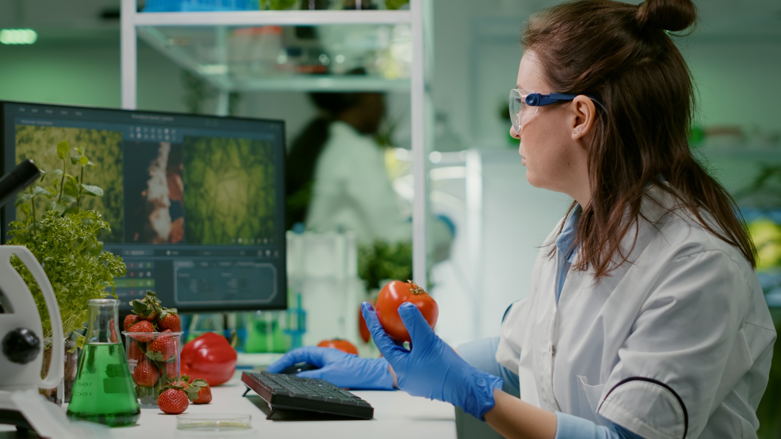 Ingeniería de alimentos