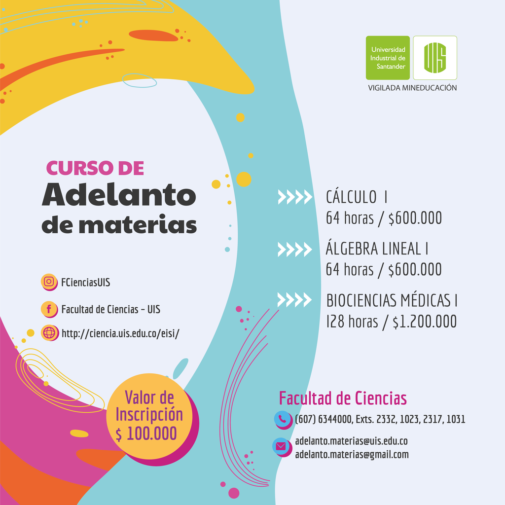 Flayer Cursos de adelanto de materias