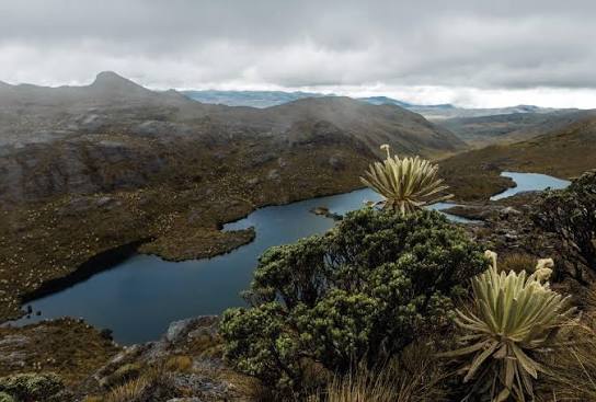 Imagen del Páramo de Santurbán