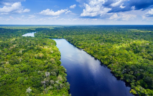 Imagen de biodiversidad en Colombia