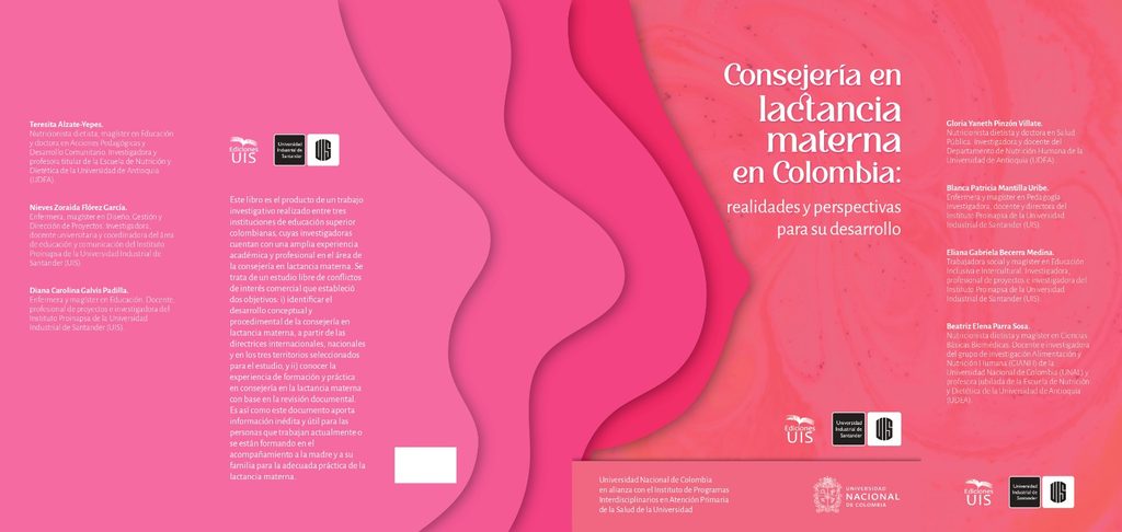 Flyer de consejería en lactancia materna