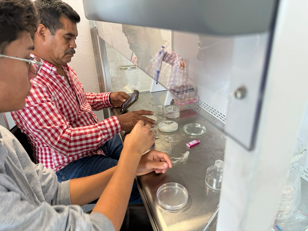 taller de producción de hongos comestibles UIS Málaga