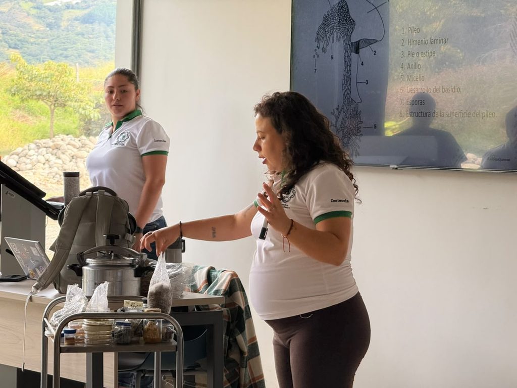 taller de producción de hongos comestibles Málaga