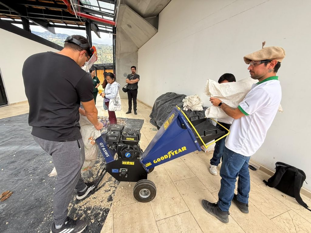 Málaga taller de producción de hongos comestibles