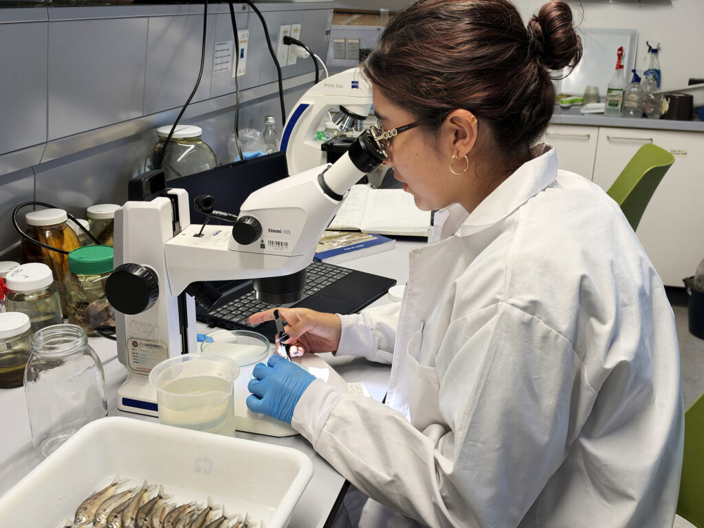 Investigadora en microscopio de laboratorio de biología EDIC UIS