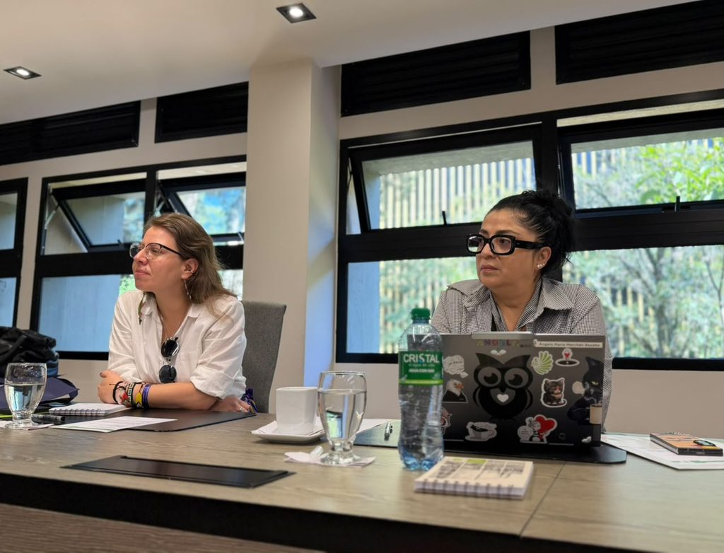Catalina Rodríguez y Ángela Merchán, pares académicas designadas por el Consejo Nacional de Acreditación.