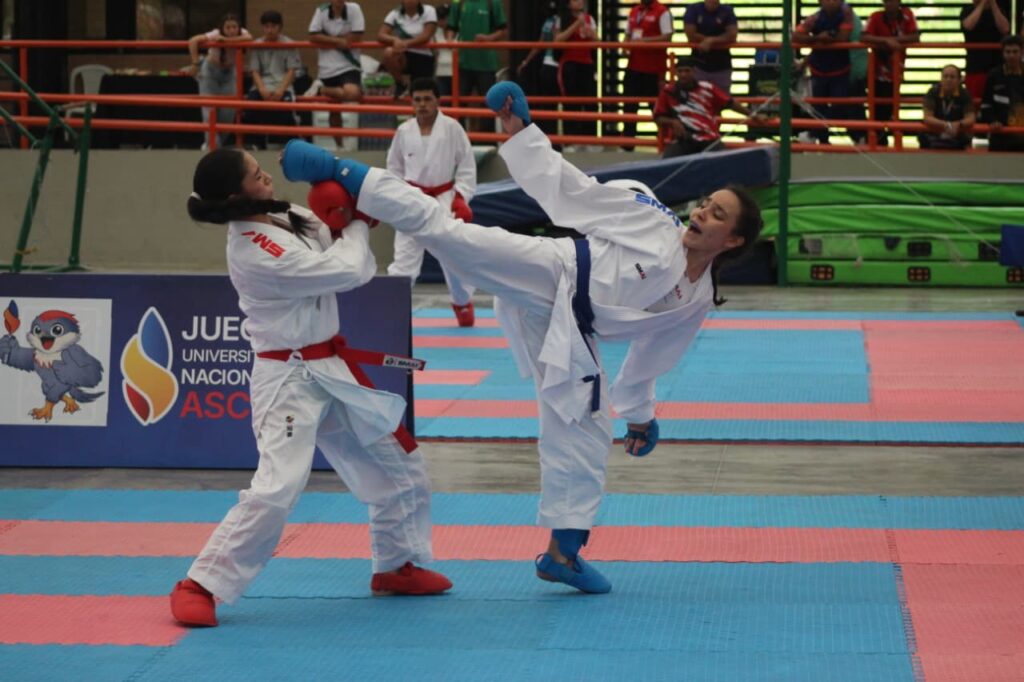 Imagen de un combate de karate