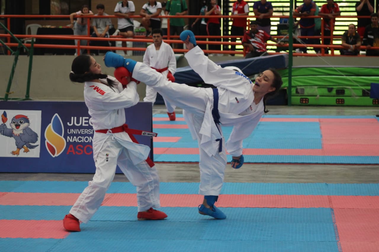 Imagen de un combate de karate