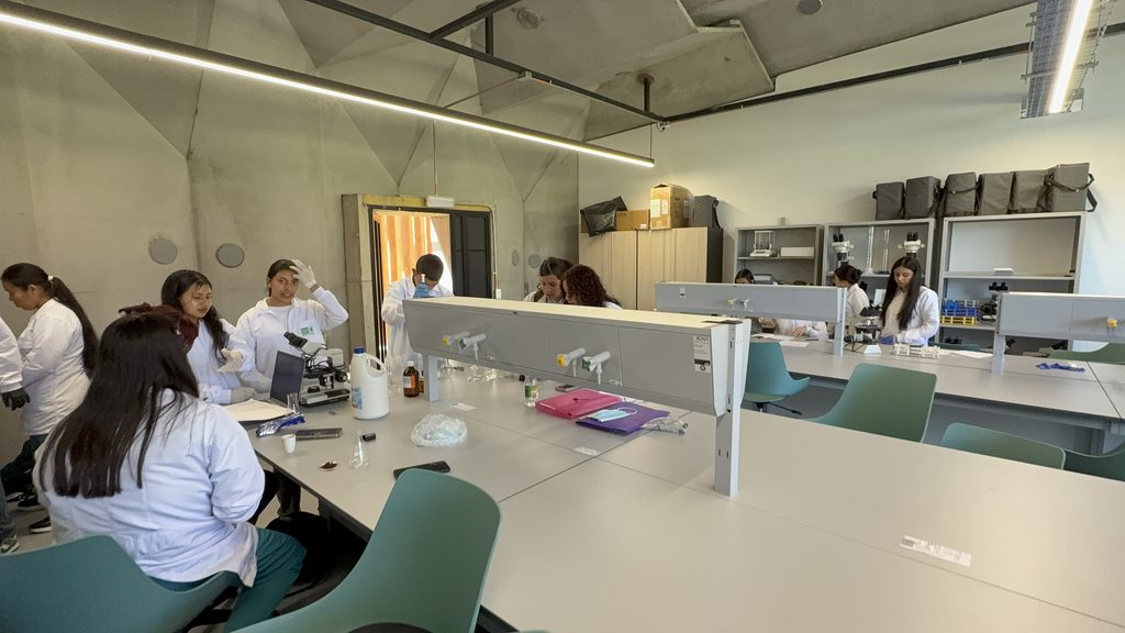 Mesones traídos de Alemania son instalados. en laboratorios de la UIS Málaga.